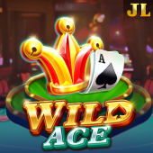 Wild Ace hot game like Wild Ape